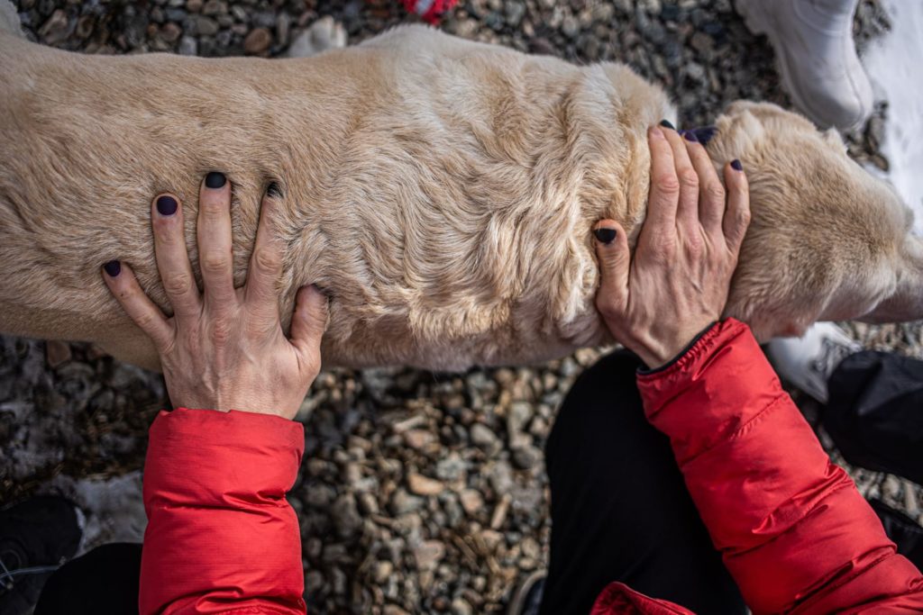 Антон Климов