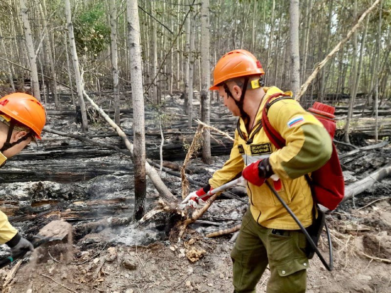 Республиканское агентство лесного хозяйства